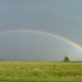 DSCF7537